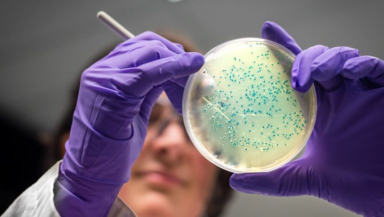 microbiology