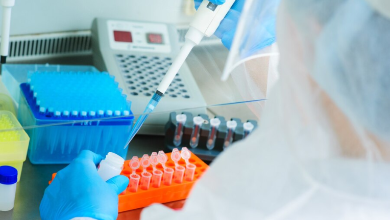 molecular genetics